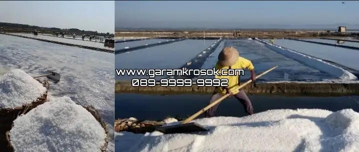  Jual Garam Kasar Terbaik Putih